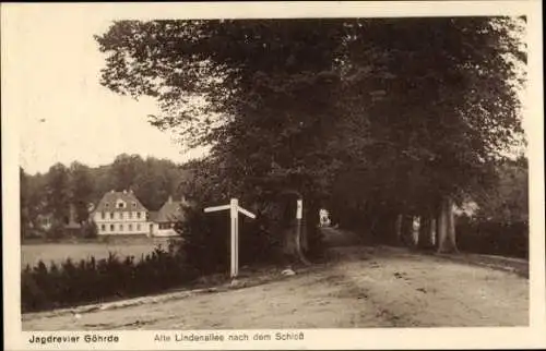 Ak Göhrde in Niedersachsen, Jagdrevier, alte Lindenallee nach dem Schloss