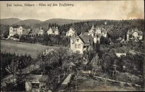 Ak Bad Sachsa in Niedersachsen, Villen auf dem Pfaffenberg