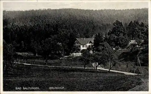 Ak Bad Salzungen im Wartburgkreis, Blick zum Grundhof vor dem Wald