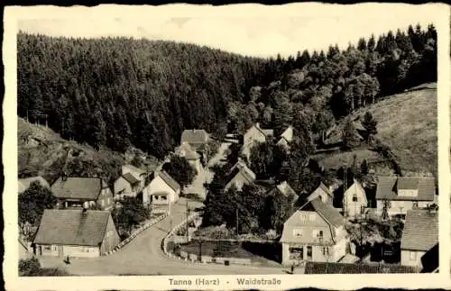 Ak Tanne Oberharz am Brocken, Blick in die Waldstraße, Stadtansicht