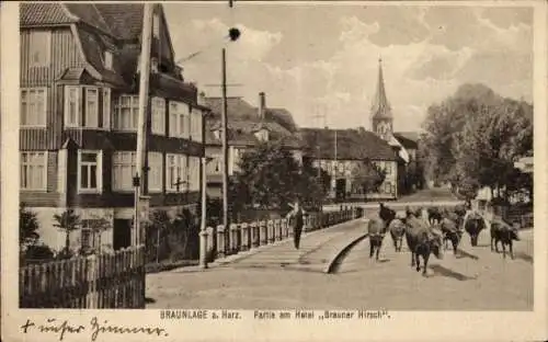 Ak Braunlage im Oberharz, Hotel Brauner Hirsch, Viehtrieb