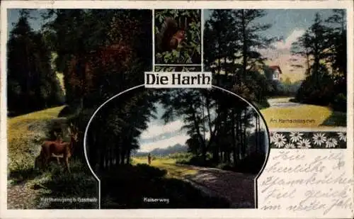 Ak Goschwitz Markkleeberg in Sachsen, Harthschlösschen, Kaiserweg, Hartheingang, Rehe, Eichhörnchen