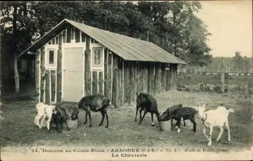 Ak Arbonne Seine et Marne, Domaine de Corne Biche, La Chavrerie