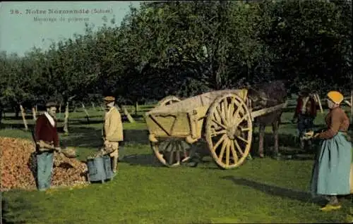 Ak Normandie Calvados, Mesurage de pommes