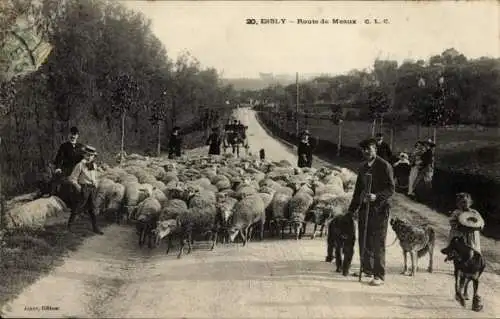 Ak Esrly Seine-et-Marne, Route de Meaux