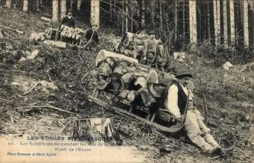 Ak Les Vosges, Foret de l'Urson, Les Schlitteurs descendant les bois de la montagne