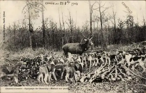 Ak Chantilly Oise, Jagd, Crew, Hallali zu Fuß