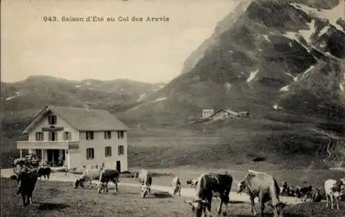 Ak Col des Aravis Haute Savoie, Saison D'Ete