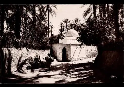 Ak Scenes et Types, Marabout dans l'Oasis, Maghreb