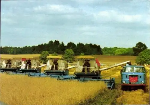 Ak Mähdrescher Komplexeinsatz, Bezirk Schwerin, Landwirtschaft