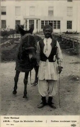 Ak Type de Muletier Indien, Indischer Eselführer, Turban