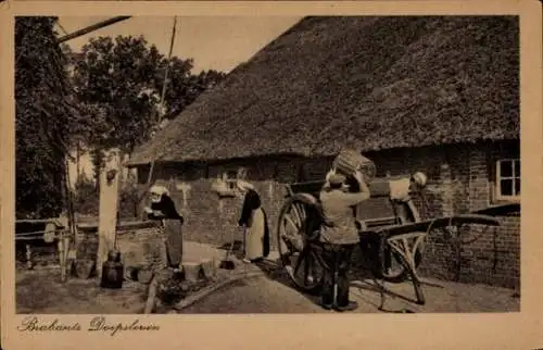 Ak Nordbrabant Niederlande, Brabantsch Dorpsleven, Bauernhof