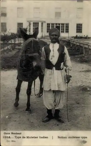 Ak Type de Muletier Indien, Indischer Eselführer, Turban