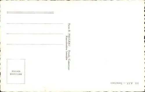 Ak Moyen Congo Französisch Kongo, Termitiere