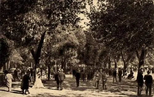 Ak Nîmes Gard, L'Esplanade, Passanten