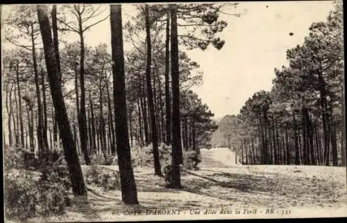 Ak Côte d’Argent Gironde, Eine Gasse im Wald