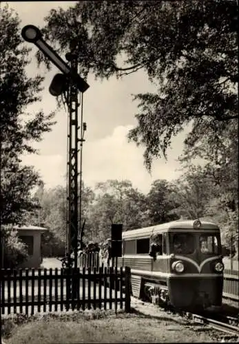 Ak Pioniereisenbahn der Stadt Dresden, Großer Garten, Schmalspurbahn