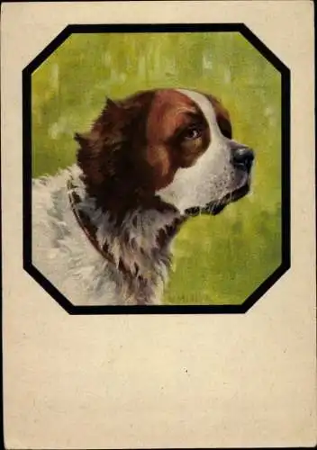 Künstler Ak Merker, W., Bernhardiner, Hundeportrait