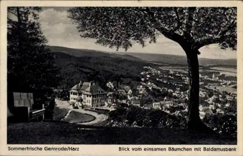 Ak Gernrode Quedlinburg im Harz, Blick vom einsamen Bäumchen mit Baldamusbank