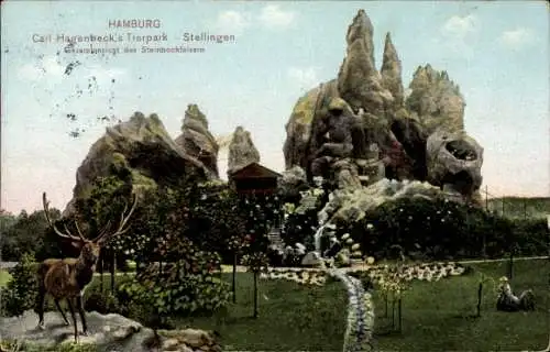 Ak Hamburg Eimsbüttel Stellingen, Carl Hagenbecks Tierpark, Gesamtansicht des Steinbockfelsens, Elch