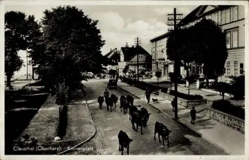 Ak Clausthal Zellerfeld im Oberharz, Kronenplatz, Kühe