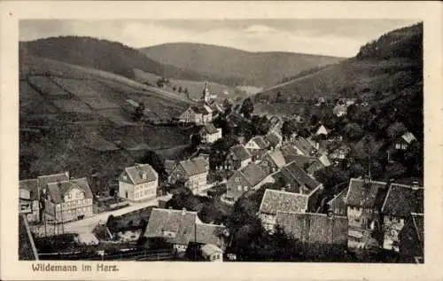 Ak Wildemann Clausthal Zellerfeld im Oberharz, Ortsansicht 