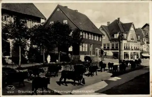 Ak Braunlage im Oberharz, Damenkapelle, Viehtrieb, Kuhherde in d. Straße, Konditorei Dietze, Stengel