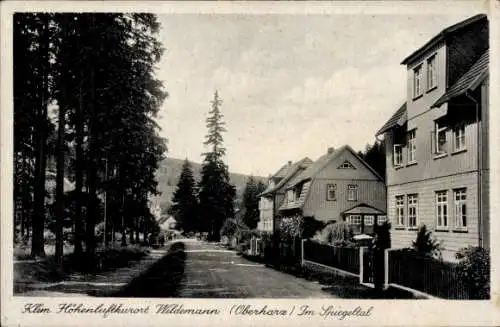 Ak Wildemann Oberharz, Im Spiegeltal, Gebäude, Straße