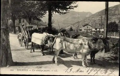 Ak Lourdes Hautes Pyrénées, Un attelage paysan, Rinderfuhrwerk