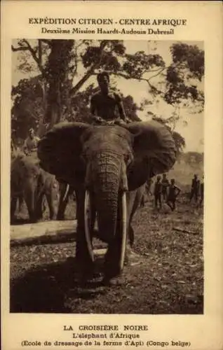 Ak Zaire, La Croisiere Noire, Expedition Citroen, elephant d'Afrique, Elefant