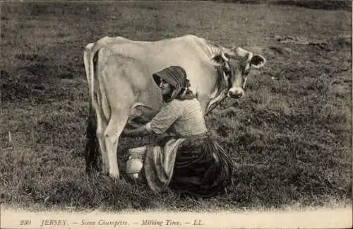 Ak Kanalinsel Jersey, Scene Champetre, Milking Time