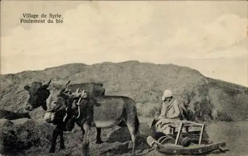 Ak Syrien, syrisches Dorf, Weizentreten