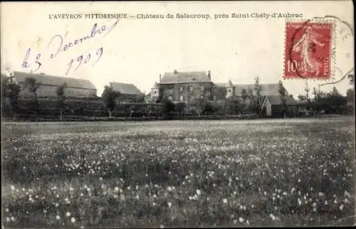 Ak Saint Chely d'Aubrac Aveyron, Chateau de Salecroup