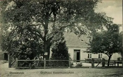 Ak Eberswalde in der Mark, Forsthaus Bornemannspfuhl, Außenansicht