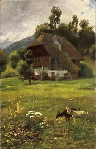 Künstler Ak Hoffmann, H., Im blühenden Wiesengrund, Schwarzwaldserie, Ziegen, Bauernhaus