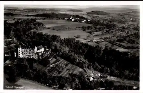 Ak Überlingen am Bodensee, Schloss Spetzgart, Fliegeraufnahme