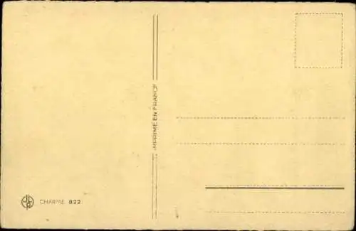 Künstler Ak Drei weiß braune Terrier