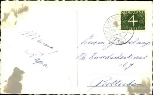 Ak Veluwe, Eule, Fuchs, Reh, Jungtier