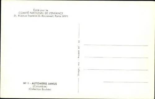 Ak Schmetterling Automeris Janus