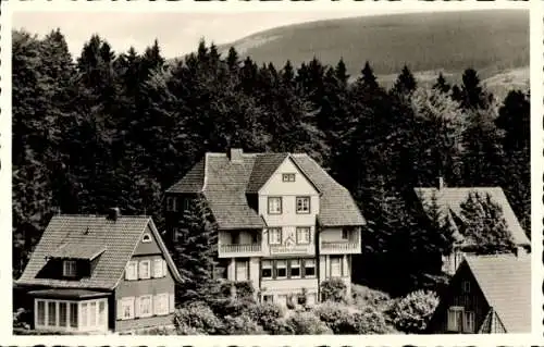 Ak Braunlage im Oberharz, Haus Klavehn, Am Waldeshang