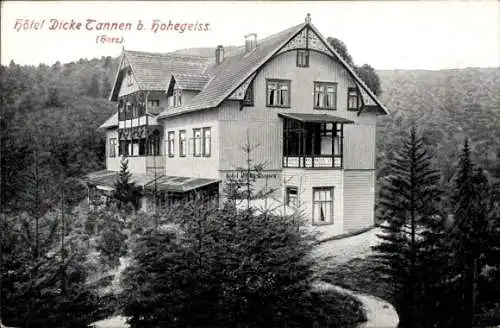 Ak Hohegeiss Braunlage Harz, Das Hotel Dicke Tannen umgeben von Wald