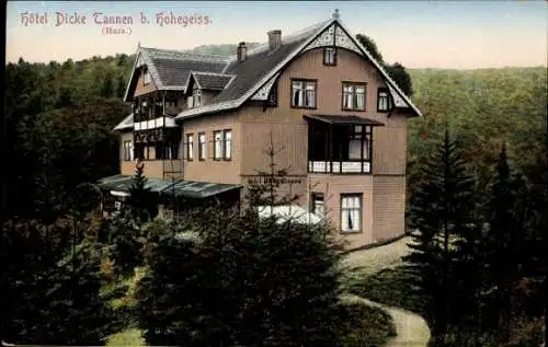 Ak Braunlage im Oberharz, Hôtel Dicke Tannen bei Hohegeiss