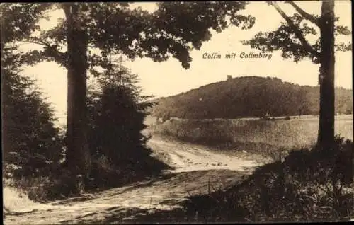 Ak Collm Wermsdorf in Sachsen, Collmberg, Landschaft