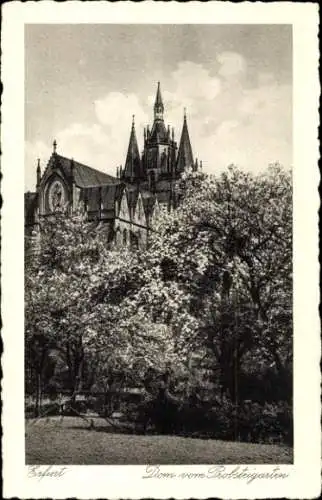 Ak Erfurt Thüringen, Blick auf den Dom vom Probsteigarten aus