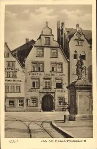 Ak Erfurt in Thüringen, Gasthaus Hohe Lilie, Friedrich Wilhelmsplatz 31, Apotheke