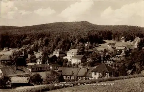 Ak Hohwald Bas Rhin, vue generale vers le Nord, Wald, Felder