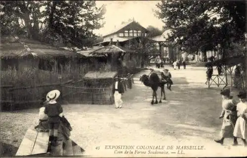 Ak Marseille Bouches du Rhône, Kolonialausstellung, Ecke der sudanesischen Farm, Trampeltier