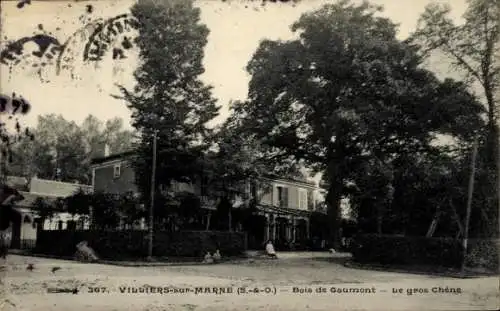 Ak Villiers sur Marne Val de Marne, Bois de Gaumont, Le gros Chene