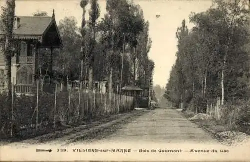 Ak Villiers sur Marne Val de Marne, Bois de Gaumont, Avenue du Lac