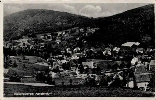 Ak Jagniątków Agnetendorf Hirschberg Riesengebirge Schlesien, Totalansicht von Ort